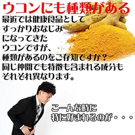 比嘉製茶 春ウコン粉 100g 2個セット