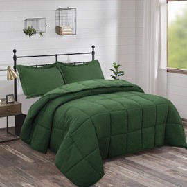 HIG 3pc Prewashed Green Queen Size Comforter Duvet Insert - All Season Quilted Down Alternative Comforter with Corner Tabs - Box Stitched - 250GSM Fiberfill Farmhouse Style Bedding(Salomon)