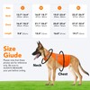 Orange Dog Vest High Visibility Safety, Dog Hunting Vest, Dog
