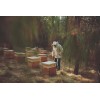 Polen De Abeja Rancho San Cayetano Vitaminas Minerales 75g
