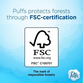 Puffs Plus Lotion Facial Tissues, 8 Family Boxes, 124 Facial Tissues per Box, Al