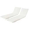 Maphissus 2 Pack 77x24 inch Lounge Chair Cushions for Outdoor