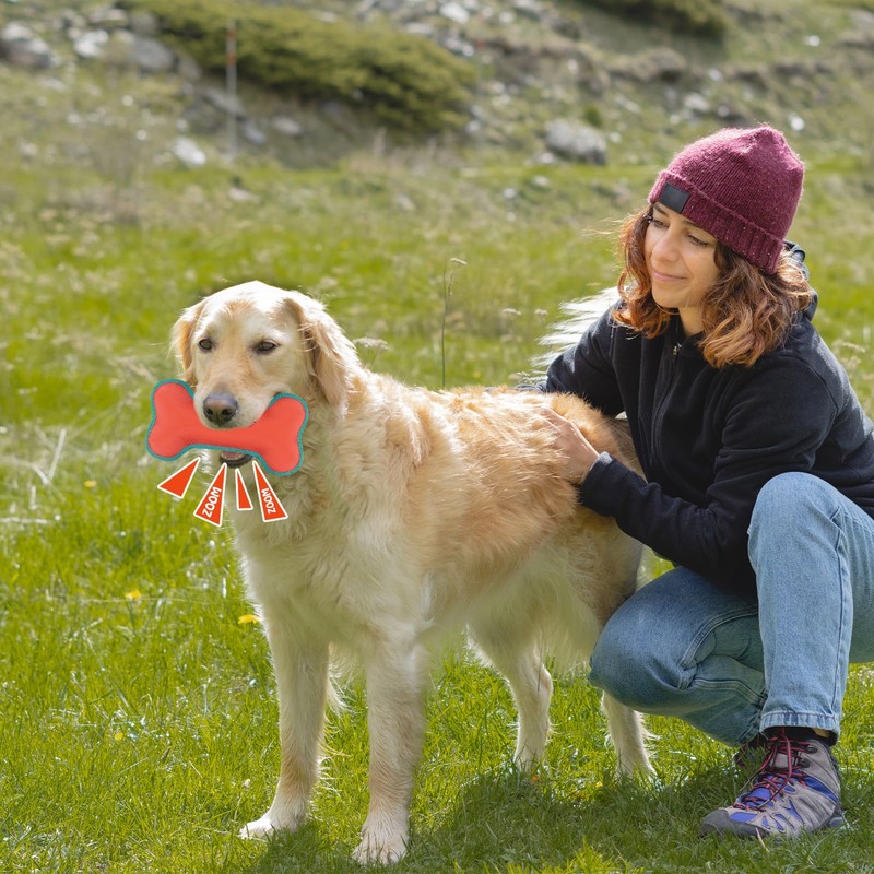 Pluvyze Hundespielzeug Unzerstörbar Kauspielzeug Hund Unzerstörbar Knochenförmiges Design Geeignet für