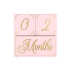 The Peanutshell Milestone Blocks Pink/Gold