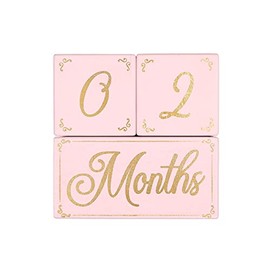 The Peanutshell Milestone Blocks Pink/Gold