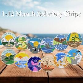 12pcs Months Sobriety Coin Set - Bulk 1-12 Month AA Coins - AA Chips and Medallions Kit - Sobriety Coin Recovery Chips - Alcoholics Anonymous Addiction Recovery Gift for Men Women