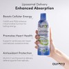 Vida Lifescience Aurora Nutrascience, Mega-Liposomal Coq10/Pqq+ Vitamina C, Sin Gluten,