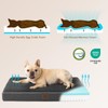 EHEYCIGA Waterproof Dog Bed Orthopedic 30"x20", Memory Foam Pet Bed