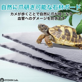 RYOHIN Lab. Turtle Drying Board, Turtle Nail Polishing, Aquarium, Heat Retention, Moisturizing, Reptile Breeding Case Interior, Flooring Material, Lava, Stone, 11.8 x 7.9 inches (30 x 20 cm)