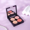 Paleta De Sombras, Rubor Y Polvo Compacto 3 In 1