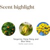 Young Living Aceite Esencial de Paz y Calma, 5 ml