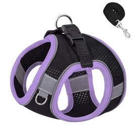 Dogs Kingdom Dog Harness Leash No Pull, Reflective Cat Harness and Leash Set, Adjustable Soft Puppy Harness, Step in Dog Harness Leash Set for Small Dogs Cat,Purple,XS