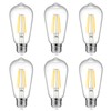 Ascher Vintage LED Edison Bulbs 6W, Equivalent 60W Incandescent, Warm