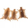 Cowhides USA Impala Skin - Real African Impala Antelope Hide