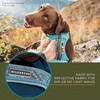 Wilderdog Lightweight Dog Harness with Reflective Straps - Large -