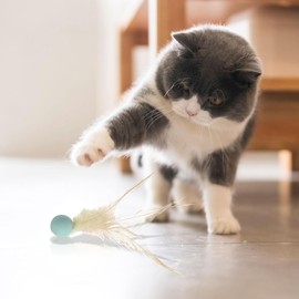 SHENGYIG Cat Toy Ball, Pack of 3 Interactive Play Balls for Cats, Elastic Rubber Cat Balls, with Feathers, Wobble Ball for Cats, for Cat Play and Training