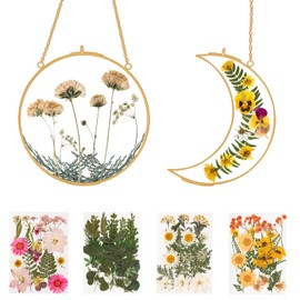 Relaxing Garden Double Glass Frame for Pressed Flowers - w/Real Dried Flowers and Tweezer -Sun and Moon Shaped frames for crafts, photos or other small flat items