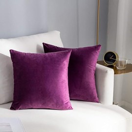 Velvet Decorative Throw Pillow Covers Set of 2 Soft Thick Cushion Cases for Sofa Bedroom Home Car(18x18 Inches,Purple)