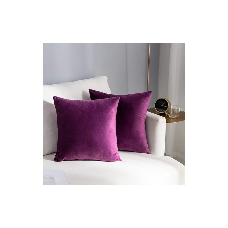 Velvet Decorative Throw Pillow Covers Set of 2 Soft Thick