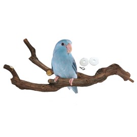 kathson Natural Parrot Perch Bird Stand Pole Wild Grape Stick Paw Grinding Fork Parakeet Climbing Standing Branches Toy Chewable Cage Accessories for Small Budgies Cockatiels Lovebirds
