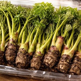 500g of domestically produced sesame seeds with strong aroma / 향이 진한 국내산 참두릅 500g