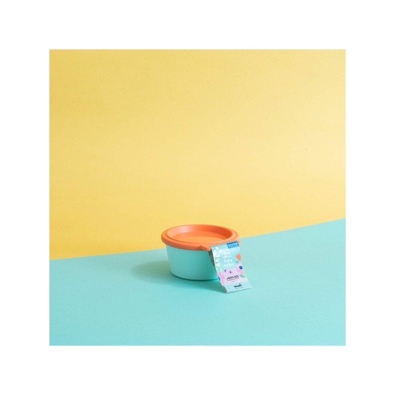 Koziol Bowl with Lid Nora Box 250 ml Multicoloured