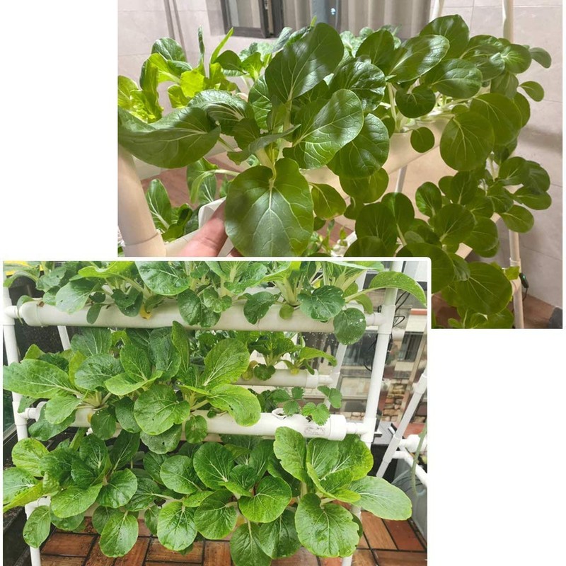 LAPOND Hydroponics Growing System Kit 72 Plant Sites 4 Layers