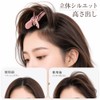 LOHUANIXIX ヘアボリュームピンチャー 根元立ち上げクリップ 2個セット 前髪たちあげクリップ