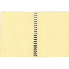 Delfonics Rolburn NRP16-SV Memo with Pocket [Ring Type/Perforation] (Width 6.6 x Height 8.5 x Thickness 0.7 inches (168 x 216 x 17 mm) Metallic A5 Silver
