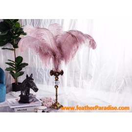 Feather paradise Dark Blush Pink 12 Pieces Ostrich Feather 18-20 inches for Wedding Centerpice