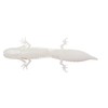 Ned-Rig Salamander Fresh Water Soft (Albino Flash 3")
