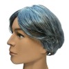 GLOBAL BOX Grandpa Wig, Gray Hair, Men's, Entertainment, Mimic, One