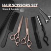 JASON Professional 10-Piece Haircut Scissors Set - 6.7" Thinning/Texturizing Scissors,