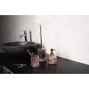 RIDDER Toilet Brush Jade Transparent Pink