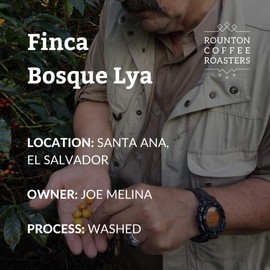 Rounton Coffee Roasters | 250g Green Coffee Beans El Salvador Finca Bosque Lya | Central American Green Coffee Beans| Raw Unroasted Coffee Beans for home Roasting