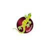 HOBBY Terraristik Cactus Sonora M I 15 x 15 x