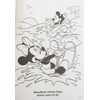 Minnie Coloring and Activity Book - 64 Pages