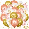 13th Birthday Balloons, 24 Pcs Rose Gold and White 13th