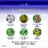 RESESTA Hair Growth Chemicals for Women 3% Residential Scalp Hair