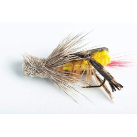 Blue Wing Olive Dave's Hopper Dry Fly, 6-Pack (#8)