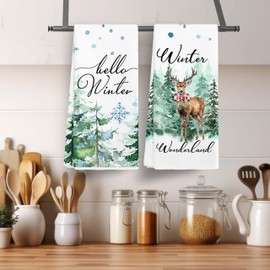 EJGFS Winter Wonderland Decorative Kitchen Towels Set of 2, Hello Winter, Dish Towels, Christmas Ornaments, Hand Towels, Winter Decorations, 16x24 Inches, Winter Gifts for Family, Friends, etc.(037)