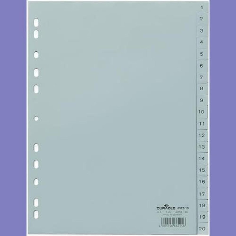 DURABLE Hunke &Jochheim Index Polypropylene 1–20, Grey, A4 215/230 x