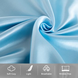 【2 Pack】 Mulberry Satin Silk Pillowcase, H HOME-MART 20"x 30" Satin Silk Pillowcases for Hair and Skin, Queen Size Pillow Case with Envelope Closure (Light Blue)