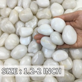FANTIAN 20lb Decorative White Pebbles for Plants - 1.2-2" Natural White River Rocks for Landscaping, Plant Rocks, Aquarium Rocks, Rocks for Planter, Decorative Stones and Garden Rocks