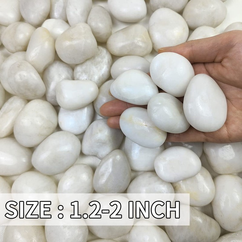 FANTIAN 20lb Decorative White Pebbles for Plants - 1.2-2" Natural