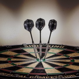 Elkadart Wizard 80% Tungsten Steel Tip Darts with Storage/Travel Case, 19 Grams