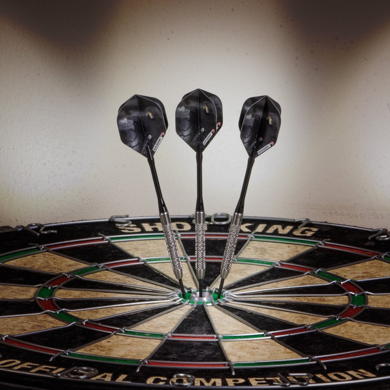 Elkadart Wizard 80% Tungsten Steel Tip Darts with Storage/Travel Case,