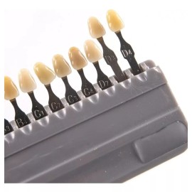 Hassta Guía De Color (colorimetro Vita Vitapan) Classic Sci