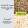 THE HAIR METHOD, Tratamiento Root Lift, Volumen, Nutrición con Quinoa,