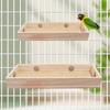 Wooden Parrot Feeding Cups & Perch Stand - Food Dish